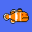 Amphiprion ocellaris