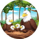 Big Bear Bald Eagle