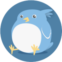 Birdy Finance 