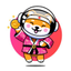 ChubbyShiba