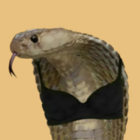 Co Bra