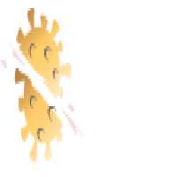 Covid Cutter