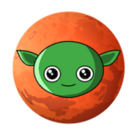 Erol Musk