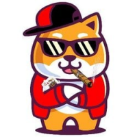Gambler Shiba