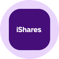iShares MSCI Brazil Tokenized ETF (Ondo)