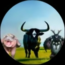 Moo Cow