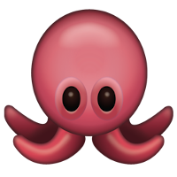 OctoFi