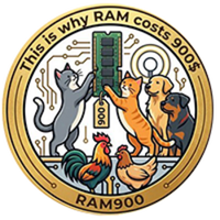 RAM900