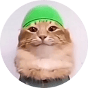 Tabi Tab Cat