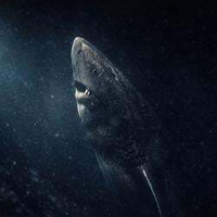 The Greenland Shark