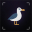 Albatross Protocol