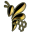 Apidae