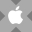 Apple tokenized stock (xStock)