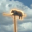 Bear On Pole
