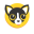 Chihuahua Token