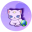Copycat Finance