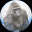 CTO Harambe
