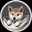 FUKU (fukucoin.io)