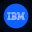 IBM Tokenized Stock - Reality