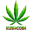 KushCoin