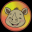 New Born Rhino