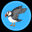 Puffin Global