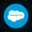Salesforce Tokenized Stock - Reality
