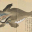 The Japanese Whale
