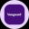 Vanguard Value Tokenized ETF (Ondo)