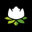 White Lotus