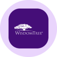 WisdomTree US Quality Dividend Growth Tokenized Fund (Ondo)